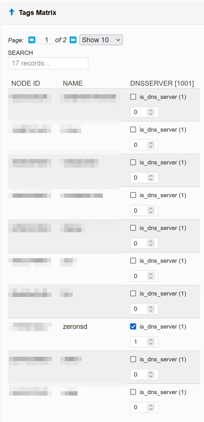 Tag settings for ZeroNS node